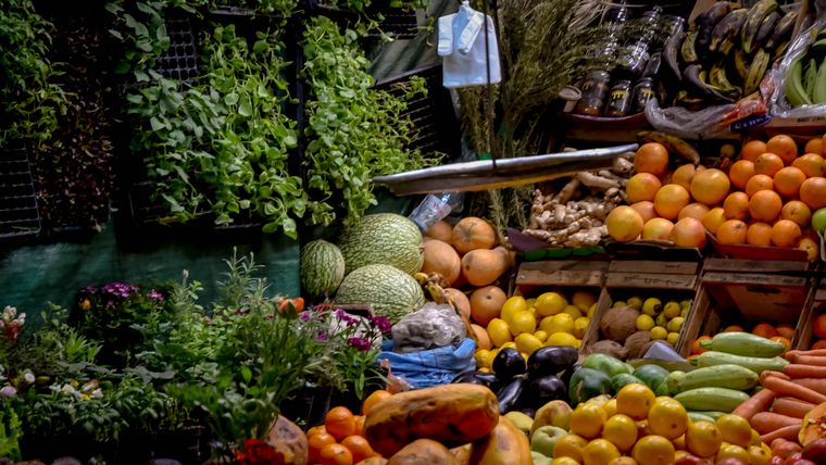 Una alimentación balanceada es clave para prevenir el cáncer de mama. Una alimentación balanceada es clave para prevenir el cáncer de mama.