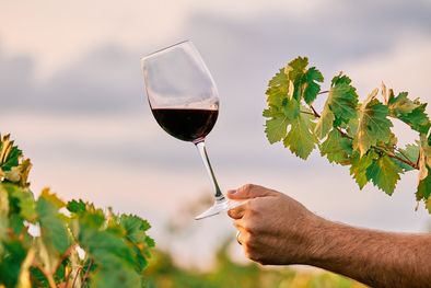 MDZol | La caída del consumo del vino es una problemática que preocupa al sector vitivinícola. Foto: Freepik