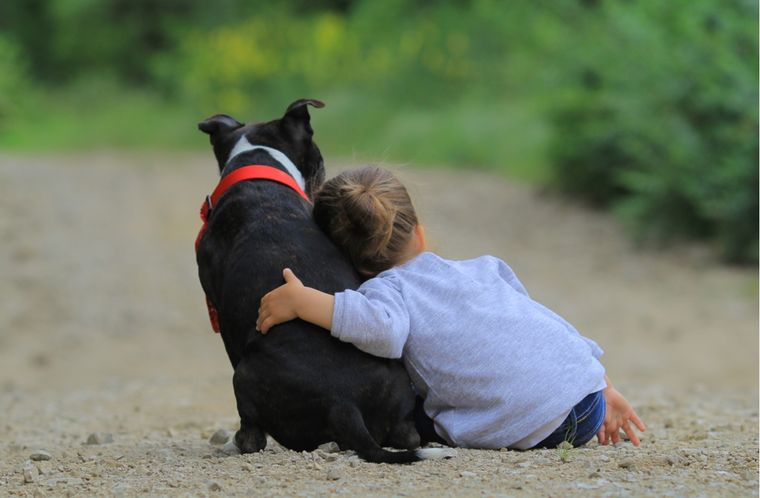Perros y niños, el cuidado y disfrute mutuo. Conocé los detalles en la nota Foto: Shutterstock