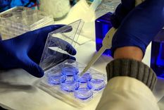 Unos 130 mil casos de cáncer se diagnostican al año en Argentina.