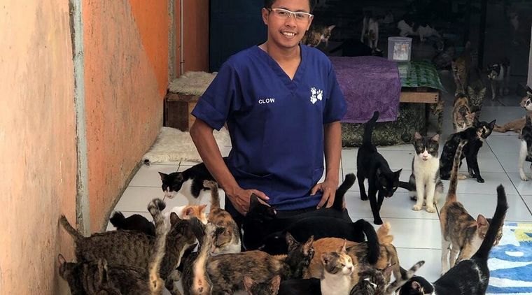 Bimbim Clow y sus gatos.
