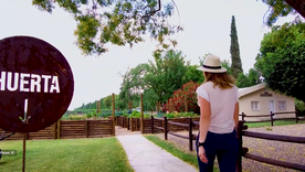 En la nota, conocé la propuesta turística increíble y diferente de Doña Paula.