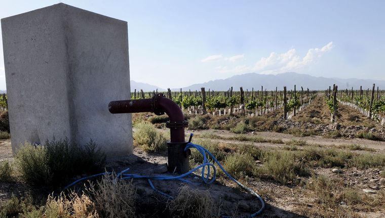 El área donde se autorizaron los nuevos pozos es la Subcuenca El Carrizal, en la margen derecha del río Mendoza, en Agrelo. El área donde se autorizaron los nuevos pozos es la Subcuenca El Carrizal, en la margen derecha del río Mendoza, en Agrelo.