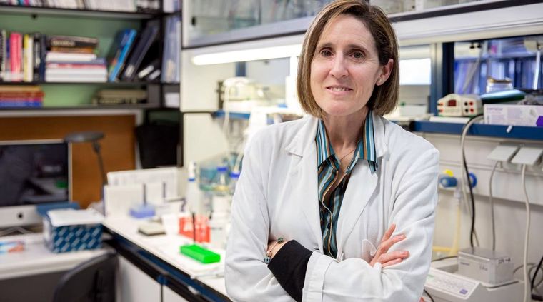 Isabel Sola, experta. Foto: Sinc.