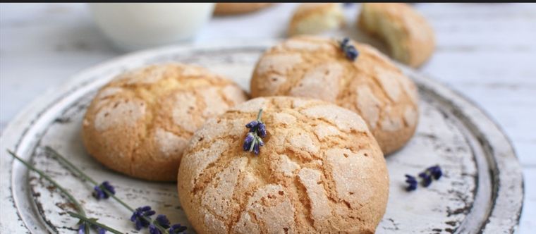 No te pierdas todos los beneficios de esta planta aromática Foto: Shutterstock