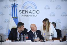 Anabel Fernández Sagasti discutió con el puntano Bartolomé Abdala Foto: X @SenadoArgentina Anabel Fernández Sagasti discutió con el puntano Bartolomé Abdala Foto: X @SenadoArgentina