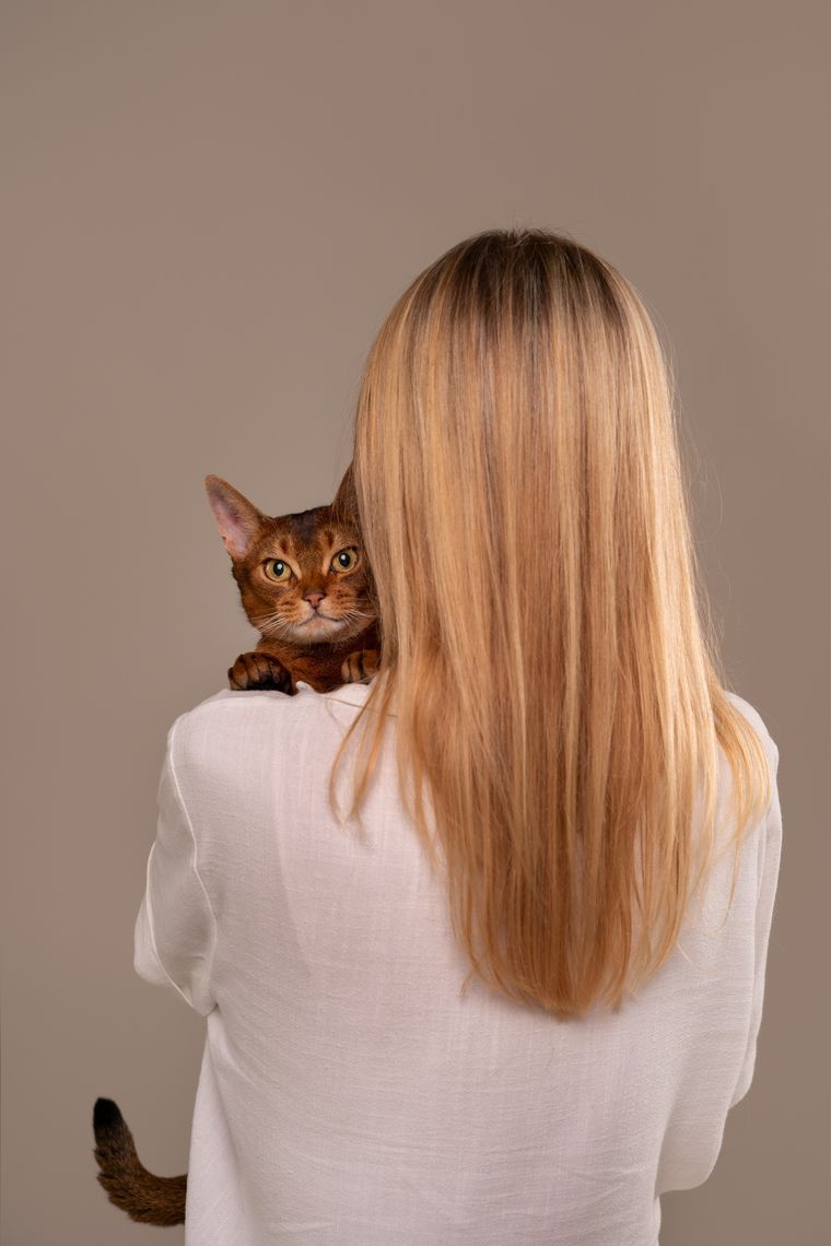 Si estás cansada de que tu gato muerda tu pelo, esta guía te va a ayudar a resolverlo Foto: Shutterstock