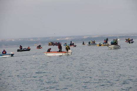 El Carrizal fue sede del Campeonato Nacional Federativo 2026, organizado por la Federación Mendocina de Pesca. Foto: gentileza FeMePe. El Carrizal fue sede del Campeonato Nacional Federativo 2026, organizado por la Federación Mendocina de Pesca. Foto: gentileza FeMePe.