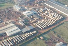 la forestadora tapebicua entro en concurso de acreedores, suma deudas por $11.500 millones