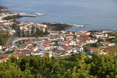 MDZol | Portugal