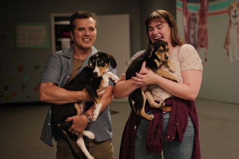 El final deja una sensación plena. El final deja una sensación plena.