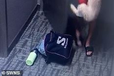 viral: filman a poderoso empresario maltratando a su perro y lo debe regalar