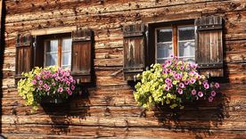 Para el riego en maceta hay que tener en cuenta el tamaño de la misma: cuanto más pequeña es la maceta más rápido se seca. Foto: Pixabay - pixabay.com