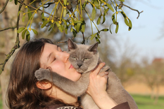 Este 8 de agosto se celebra el Día Internacional del Gato.