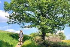 Foto: JUSTIN BROOKS. Todo empezó con una historia en el periódico.