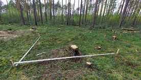 El descubrimiento fue realizado en un campo cercano a Braintree y une una pieza medieval con una gema de origen romano. El descubrimiento fue realizado en un campo cercano a Braintree y une una pieza medieval con una gema de origen romano.