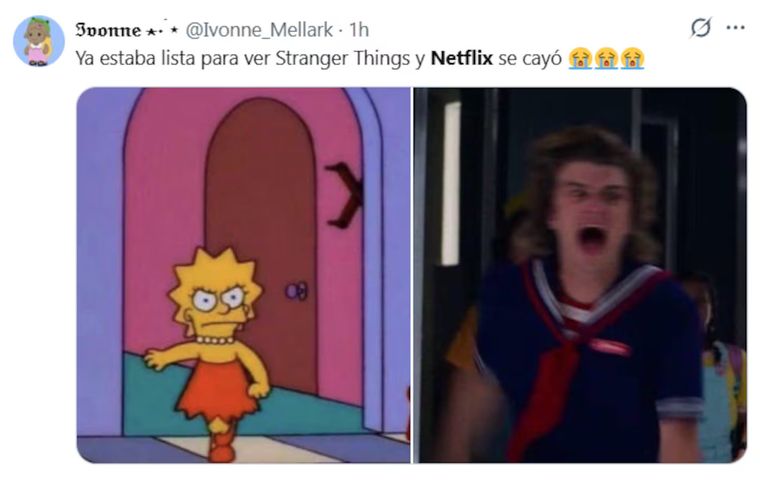 Algunos memes de la caída de Netflix. Algunos memes de la caída de Netflix.