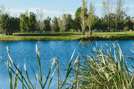 El pueblo de General Villegas invita a descubrir su costado más cultural y natural. El pueblo de General Villegas invita a descubrir su costado más cultural y natural.
