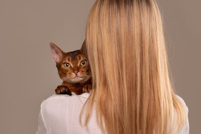 MDZol | Los gatos no solo son compañeros, también contribuyen a nuestra salud, conocé todo en esta nota Foto: Shutterstock