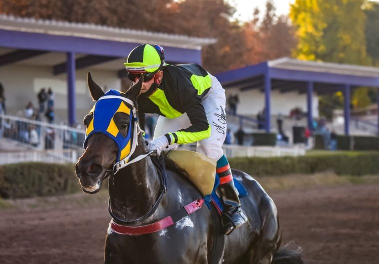 Wedding: la zaina Wedding Dubai será la única dama del lote en el Santiago. Foto: José Maluf