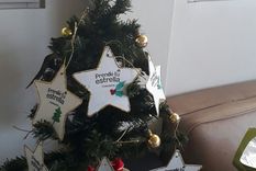 llega navidad y vos podes tener el arbol mas fraternal y hermoso llega navidad y vos podes tener el arbol mas fraternal y hermoso