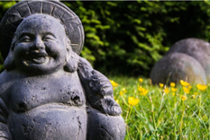 El Feng Shui, es una práctica que implica organizar el espacio vital para crear un equilibrio con el mundo natural y provee energía Foto: Foto: Freepik