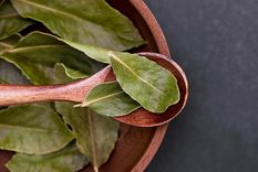 Las hojas de laurel están asociadas a la abundancia y prosperidad. Foto: Archivo