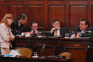 MDZol | Rumores de arreglo dividieron a los senadores radicales. Foto: Nacho Gaffuri / MDZ