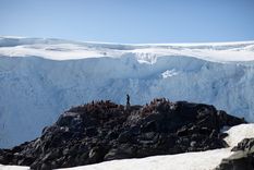 ¿irias hasta el mejor lugar de todo el mundo para mirar las estrellas?