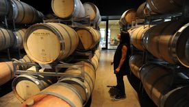 Un informe advierte por la presión tributaria en la industria del vino. Un informe advierte por la presión tributaria en la industria del vino.