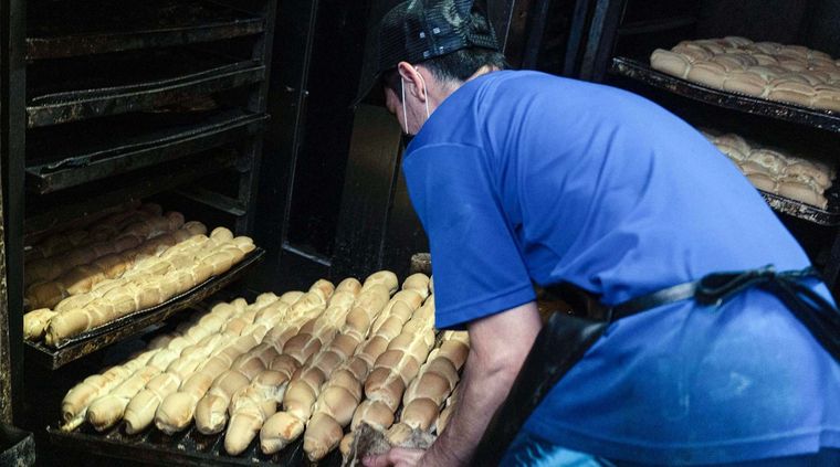 La semana se aprobó nuevamente el trigo transgénico en la provincia de Buenos Aires Foto: TELAM