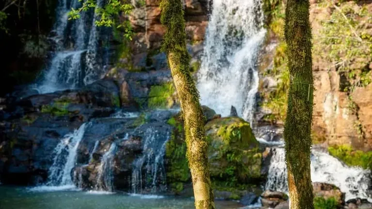 Campo Ramón: el pueblo misionero que combina selva, cascadas y tradición