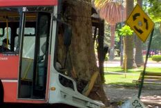 tragedia en el parque: cornejo espera la pericia del colectivo y defendio el sistema de transporte