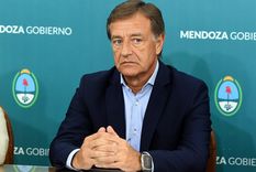 Foto: ALF PONCE MERCADO / MDZ