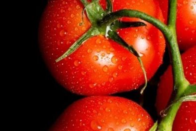 MDZol | Así debes almacenar los tomates Foto: Shutterstock
