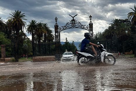 Mendoza pasó un verano lluvioso. Mendoza pasó un verano lluvioso.