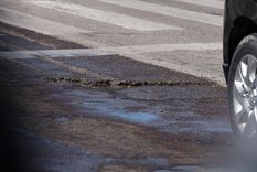 Foto: ALF PONCE MERCADO / MDZ Foto: ALF PONCE MERCADO / MDZ