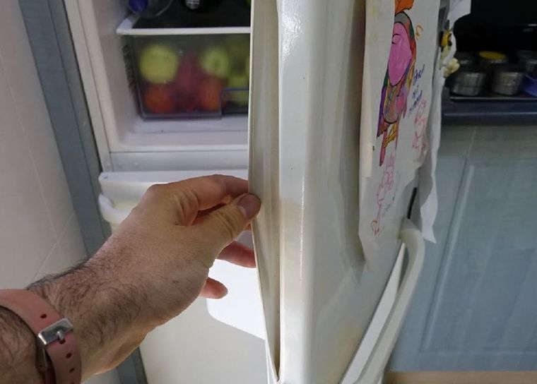 Las gomas de la heladera pueden guardar una gran cantidad de suciedad. Foto: Limpiezapedia