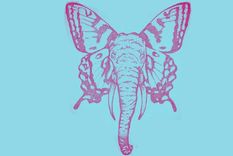 Test de personalidad