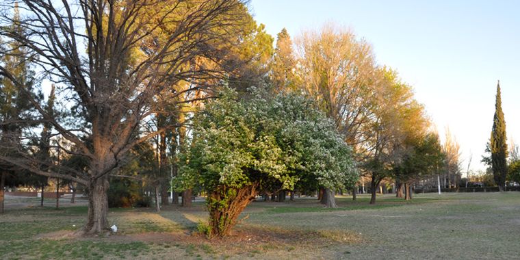 Habrá un suave ascenso de la temperatura para los próximos días.