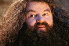 Robbie Coltrane Uno de los papeles más recordados fue el de Hagrid Rubeaus en la saga de Harry Potter. Foto: Fuente: Imagen / Harry Potter