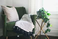 Jardín Estas son 5 de las plantas más resistentes ideales para principiantes Foto: Pixabay