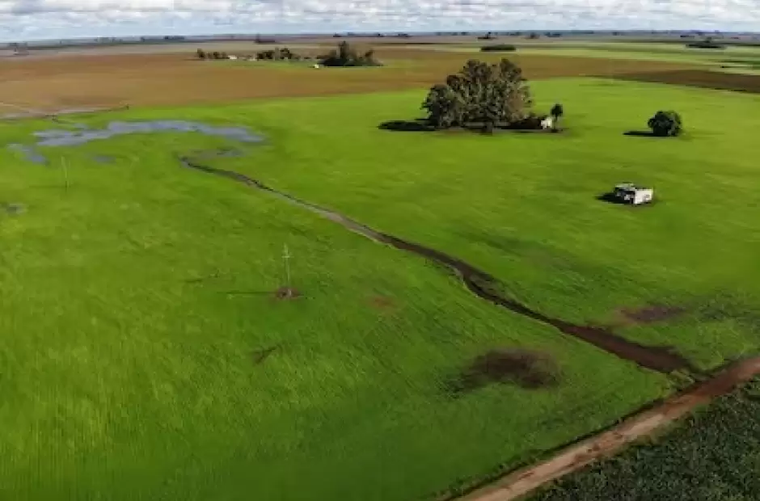 El debate se reabre en el ámbito legislativo, con expectativas en el sector agropecuario. El debate se reabre en el ámbito legislativo, con expectativas en el sector agropecuario.