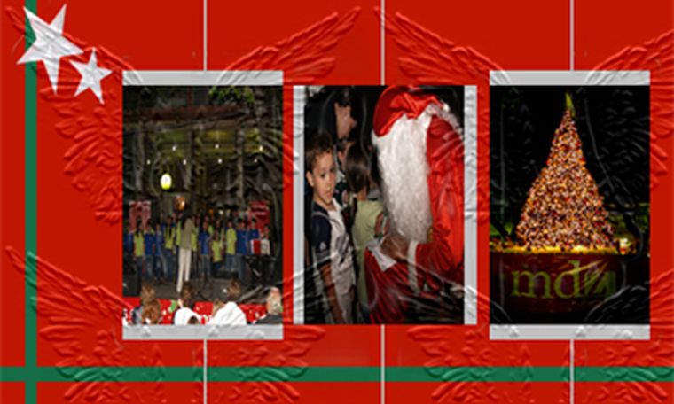 Presentación del árbol navideño de MDZ Foto: Gabriela Aizcorbe / MDZ