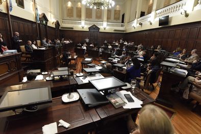 MDZol | Foto: Diputados