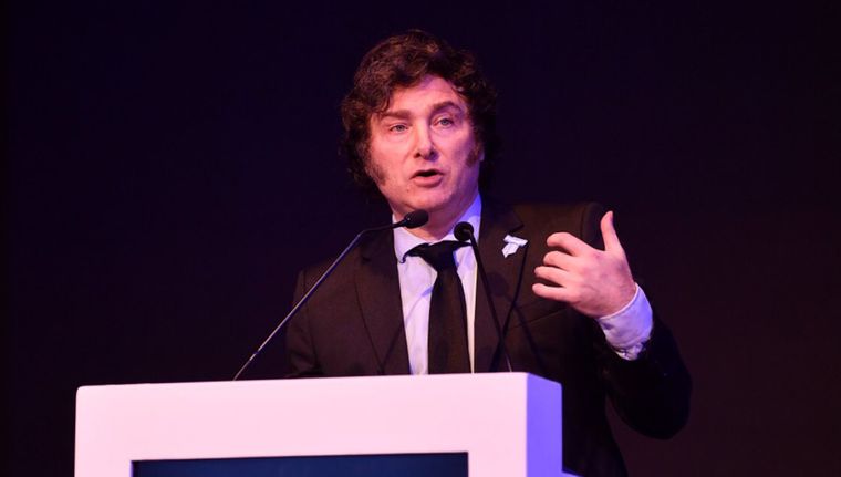 Fuerte advertencia de un exministro de Economía a Javier Milei sobre el cepo Foto: IAEF