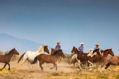 MDZol | Para experimentar la vida en un entorno vaquero no hace falta viajar a Estados Unidos. Foto: BBC