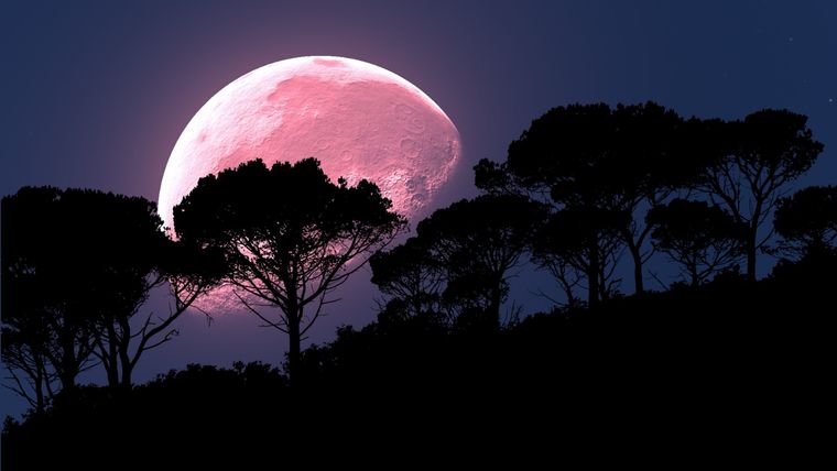 ¿Por qué la luna rosa se vincula con la maternidad?
