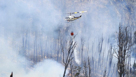 Los brigadistas trabajan para combatir las llamas. Los brigadistas trabajan para combatir las llamas.