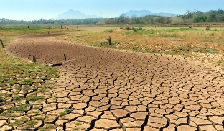 El calentamiento progresivo afecta directamente a los cultivos. Foto: Dpa.